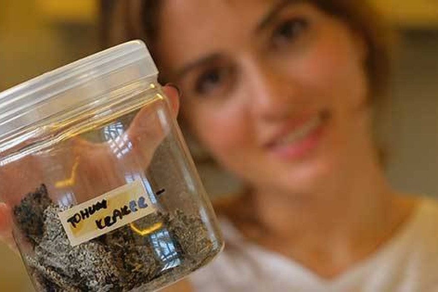 Seed Crackers