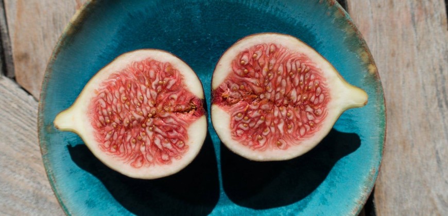 7 zeytin 1 incir diyeti
