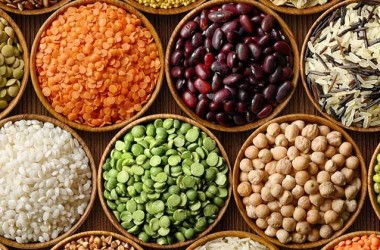 Bitkisel Protein Kaynakları ve Kullanım Şekilleri