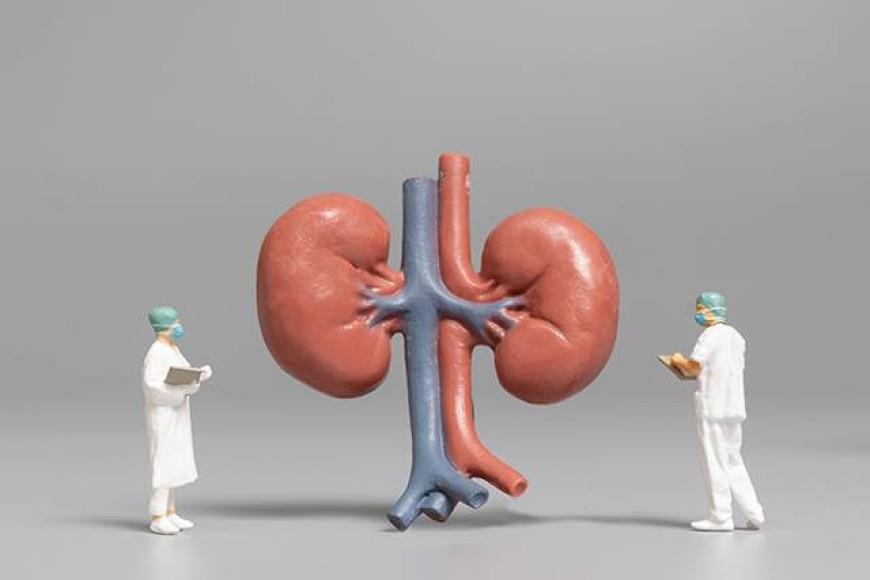 Nutrition for Kidney Disease