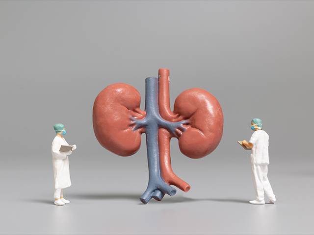 Böbrek Hastalıklarında Beslenme