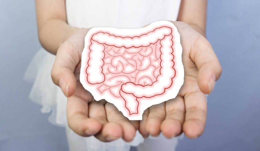 Geçirgen Bağırsak Sendromu Nedir?