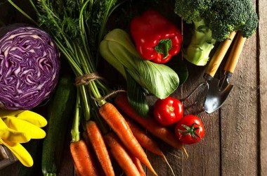 Glutensiz ve Vegan Beslenme Kombinasyonları