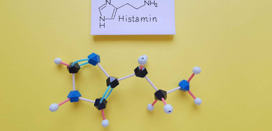 Histamin Nedir?