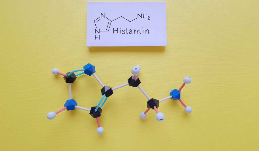 Histamin Nedir?