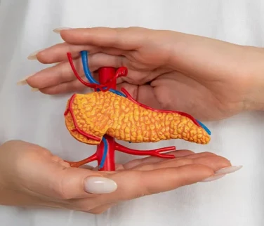 Karaciğer Yağlanması ve Beslenme: Kapsamlı Rehber