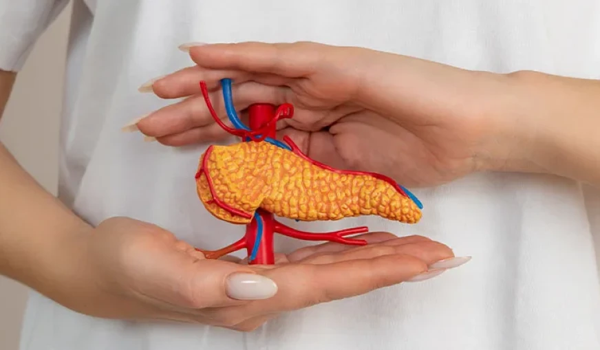 Karaciğer Yağlanması ve Beslenme: Kapsamlı Rehber