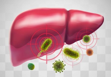 Karaciğer Yağlanması ve Beslenme