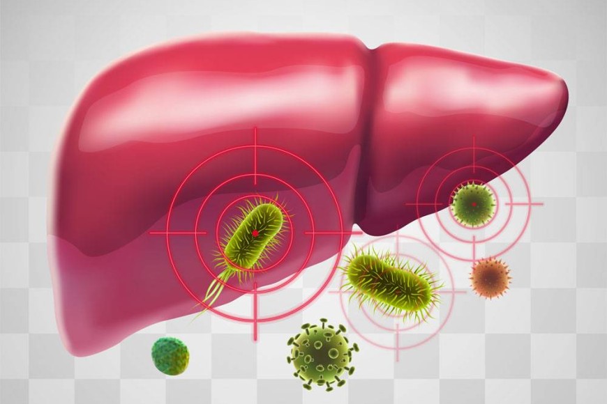 Fatty Liver Diet and Nutrition