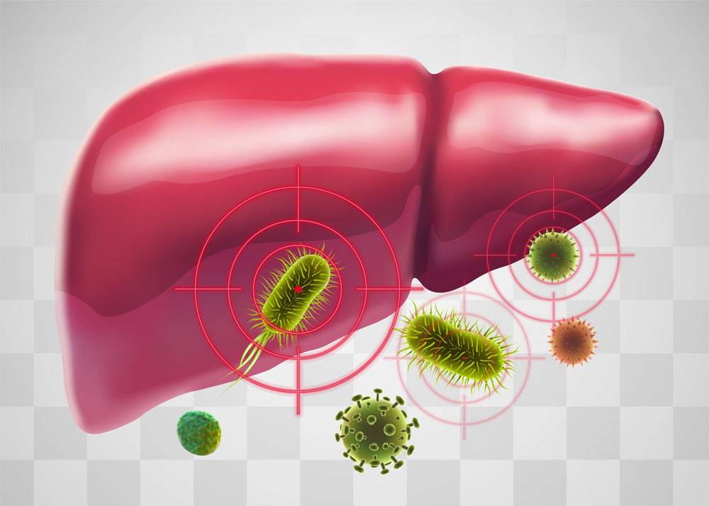Karaciğer Yağlanması ve Beslenme