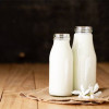 Kefir ve Kombuça Arasındaki Farklar 
