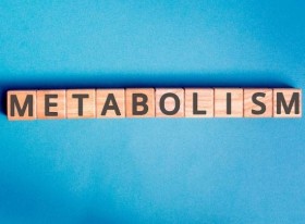 Metabolizmayı Yavaşlatarak Kilo Alma Mümkün mü?