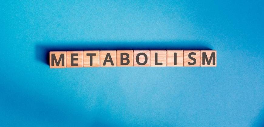 Metabolizmayı Yavaşlatarak Kilo Alma Mümkün mü?