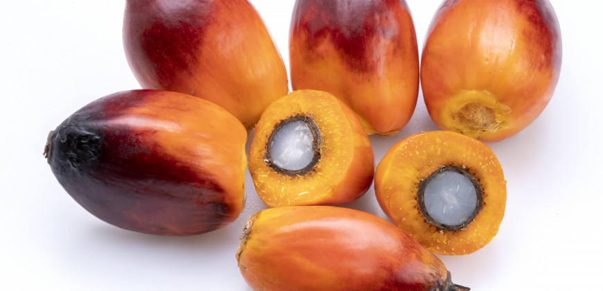 Palm Yağı