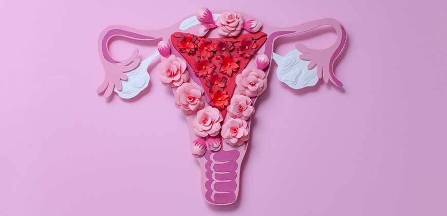 Polikistik Over Sendromu (PCOS) İçin Diyet Planları