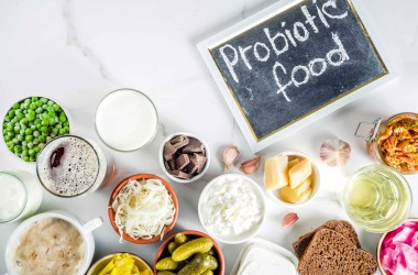 Probiyotik Gıdaların Bağışıklık Sistemine Etkileri