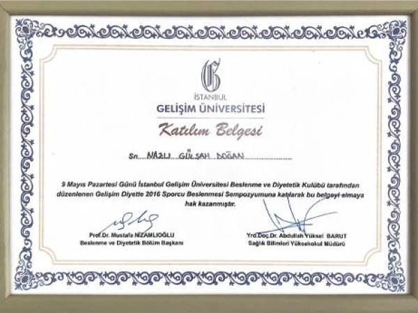 Nazlı Gülşah Doğan certificate 3