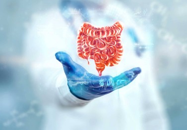 Sindirim Sistemi Bozukluğu ve Sağlığı