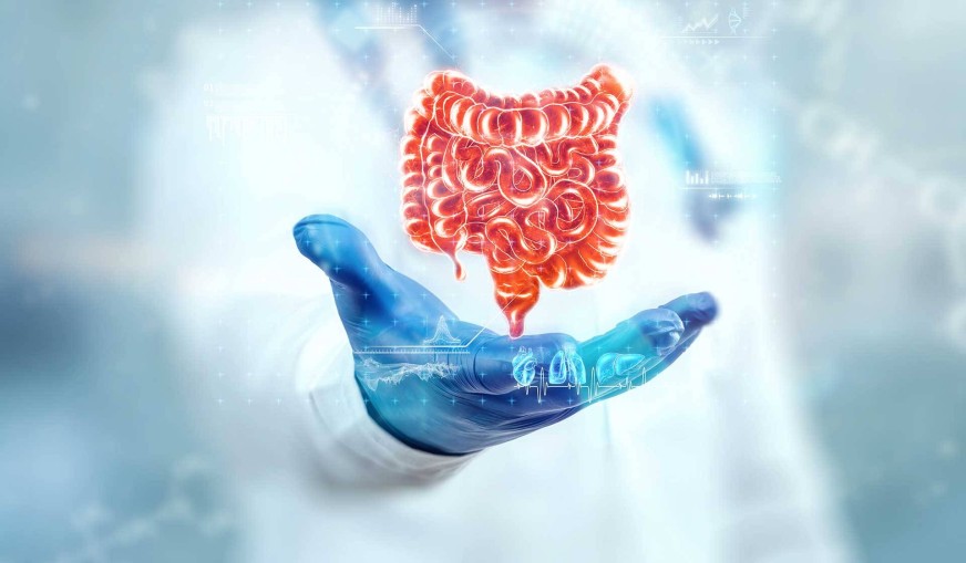 Sindirim Sistemi Bozukluğu ve Sağlığı