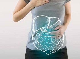 Sindirim Sistemi Sağlığı İçin En İyi Gıdalar
