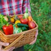 Yaz Sebzeleri ve Meyveleri Nasıl Tüketilmeli?